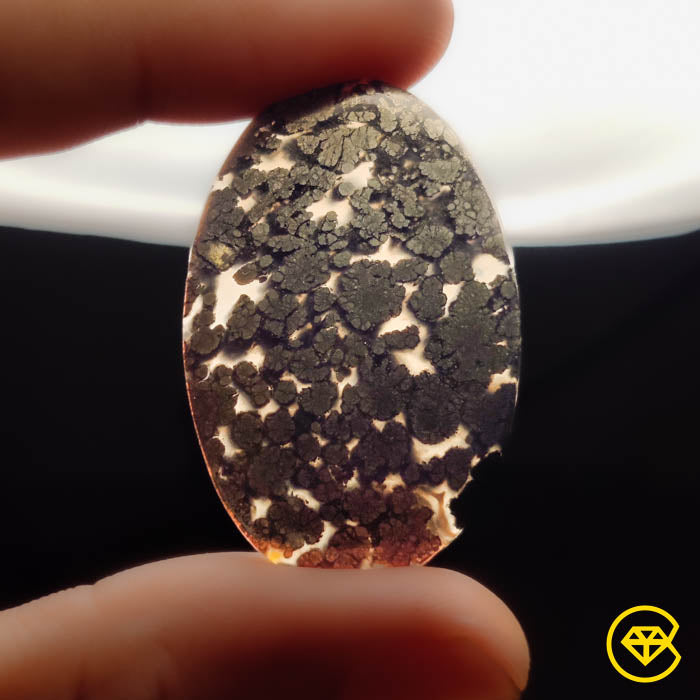 Marcasite