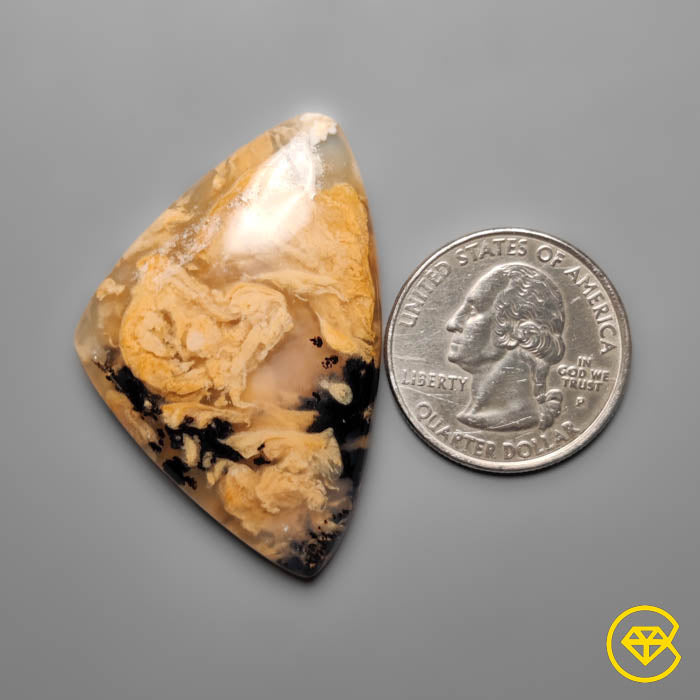 Dendritic Agate