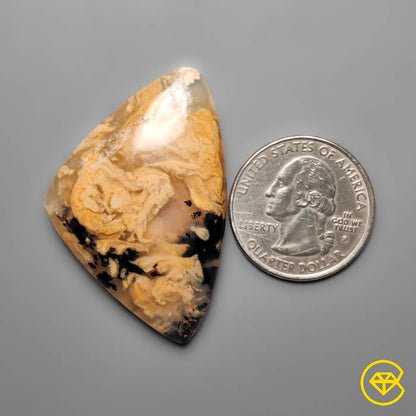 Dendritic Agate