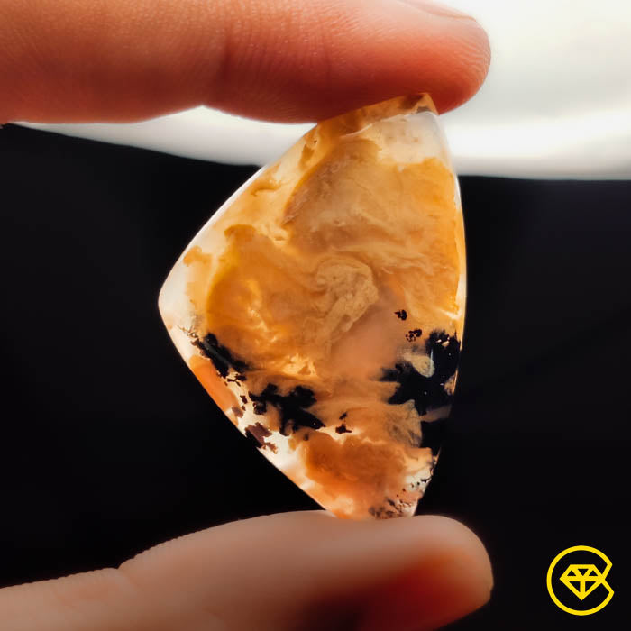 Dendritic Agate
