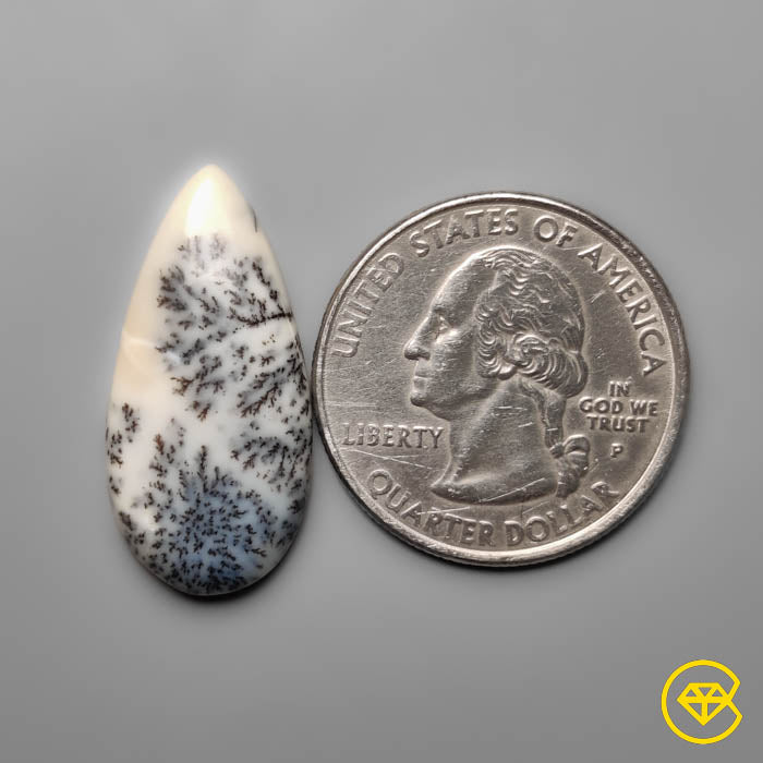 Dendritic Agate