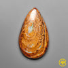 Opal,Australian Opal
