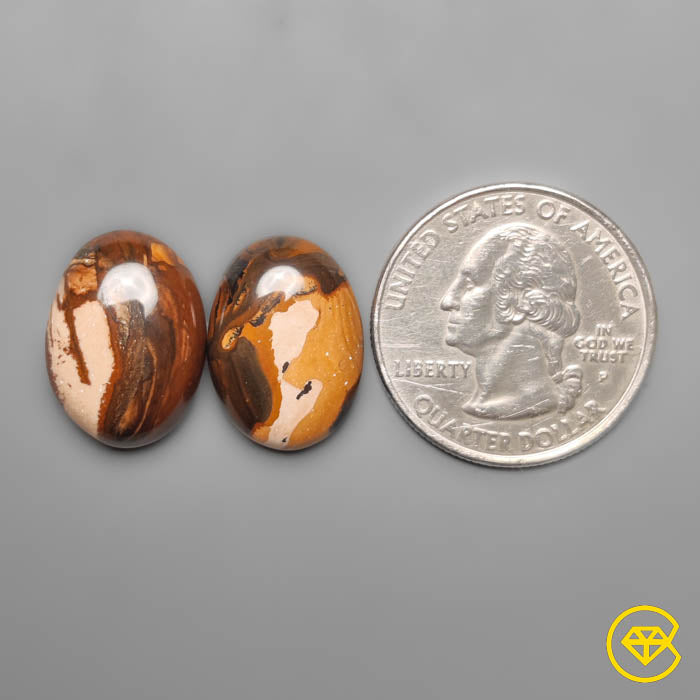 Biggs Jasper