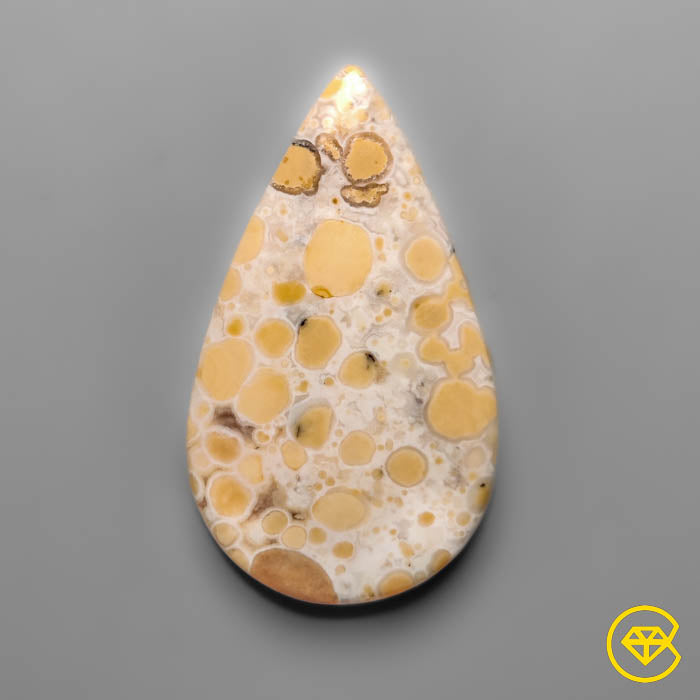 Cobra Jasper