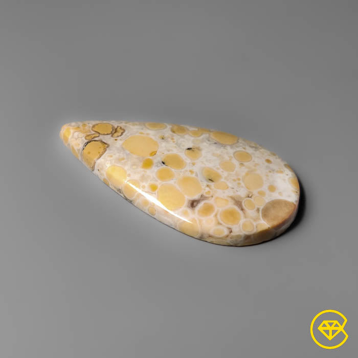 Cobra Jasper
