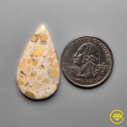 Cobra Jasper