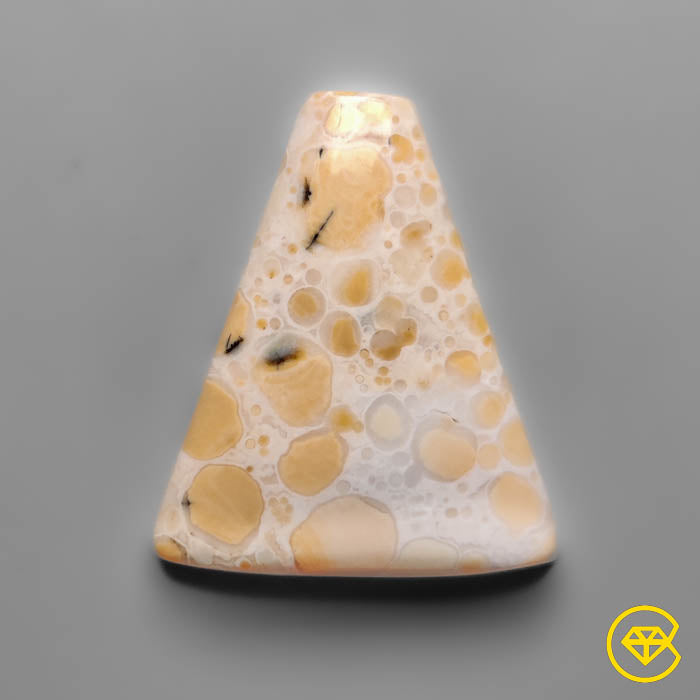 Cobra Jasper