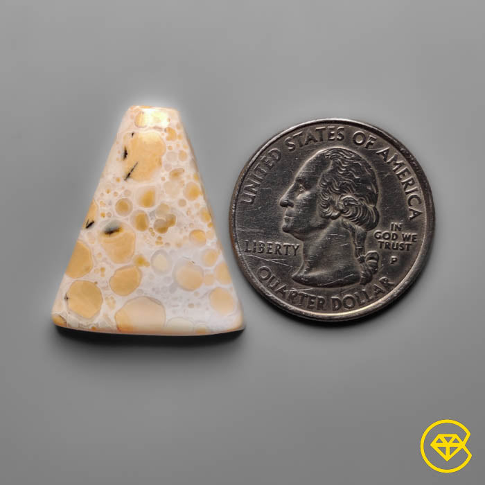 Cobra Jasper