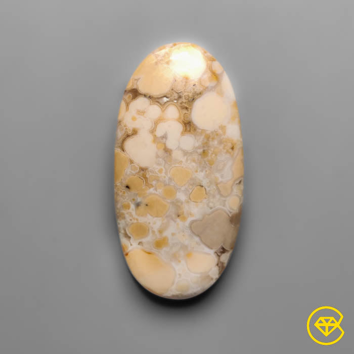 Cobra Jasper
