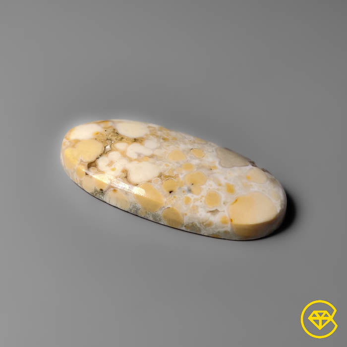 Cobra Jasper