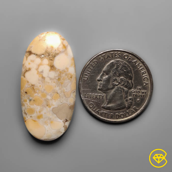 Cobra Jasper