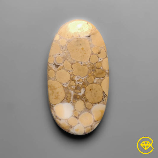 Cobra Jasper