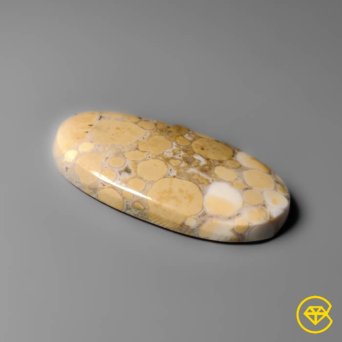 Cobra Jasper