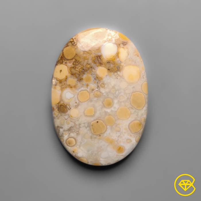 Cobra Jasper