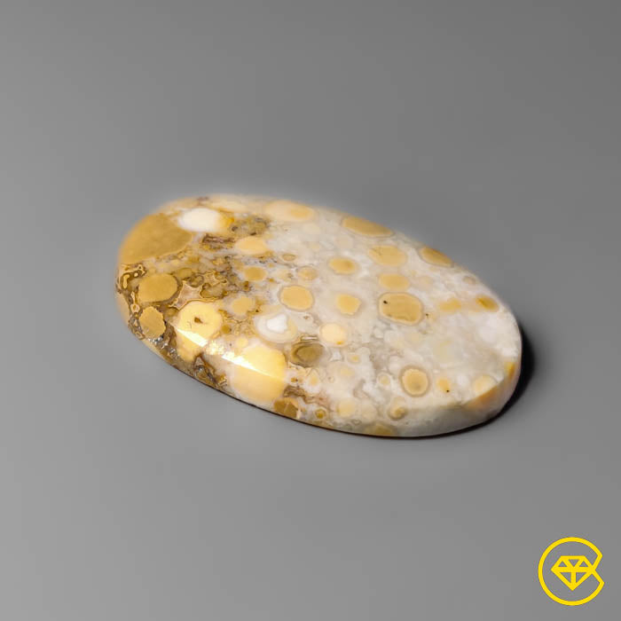 Cobra Jasper