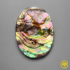 Abalone Shell