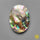 Abalone Shell
