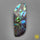 Abalone Shell