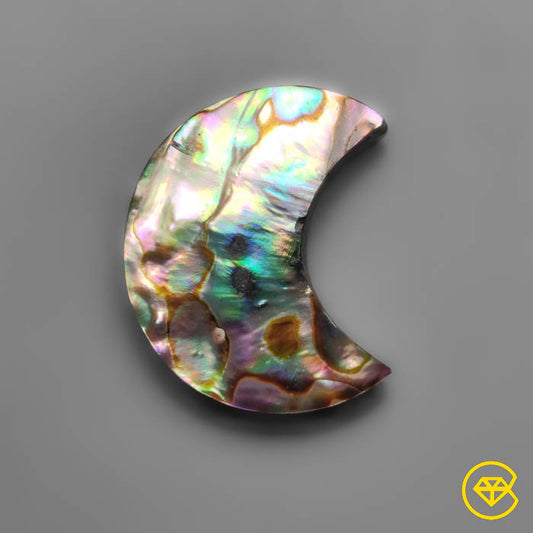 Abalone Shell