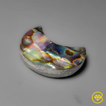 Abalone Shell