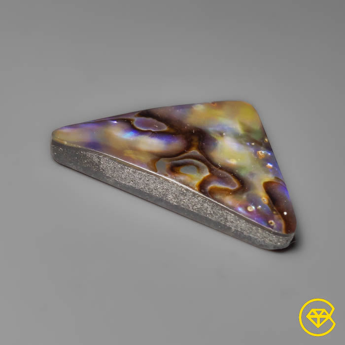 Abalone Shell