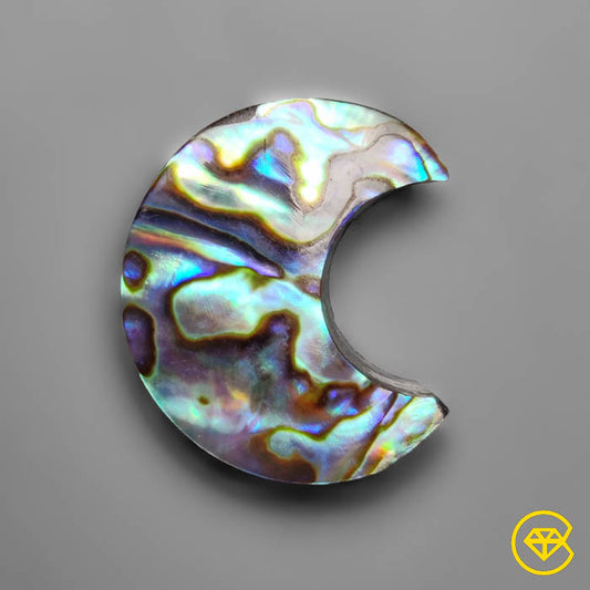 Abalone Shell
