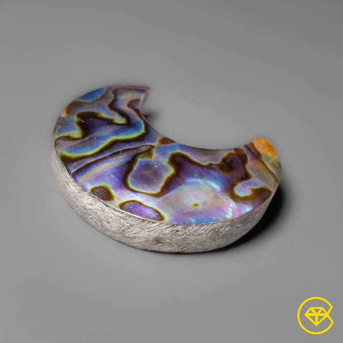 Abalone Shell