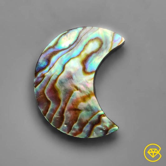Abalone Shell