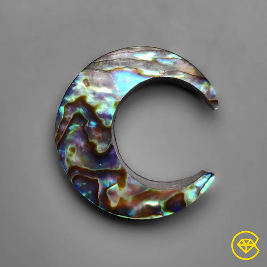 Abalone Shell