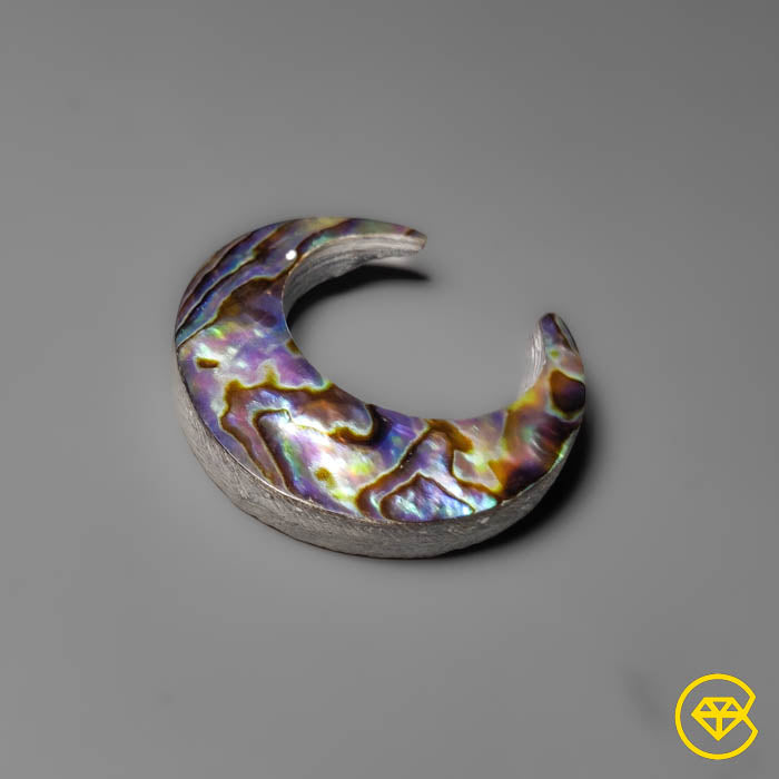 Abalone Shell