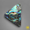 Abalone Shell