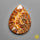 Ammonite