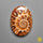 Ammonite
