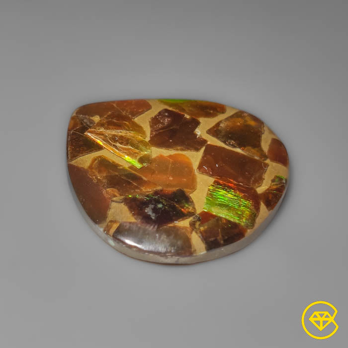 Ammolite