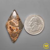 Fossil Marston Marble