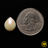 Pearl