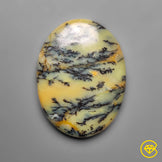 Dendritic Agate