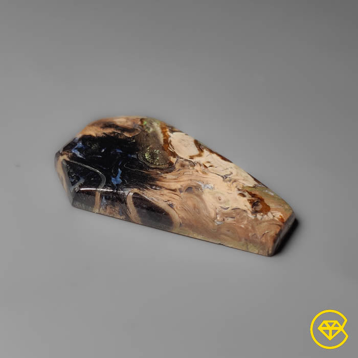 Palmroot Agate