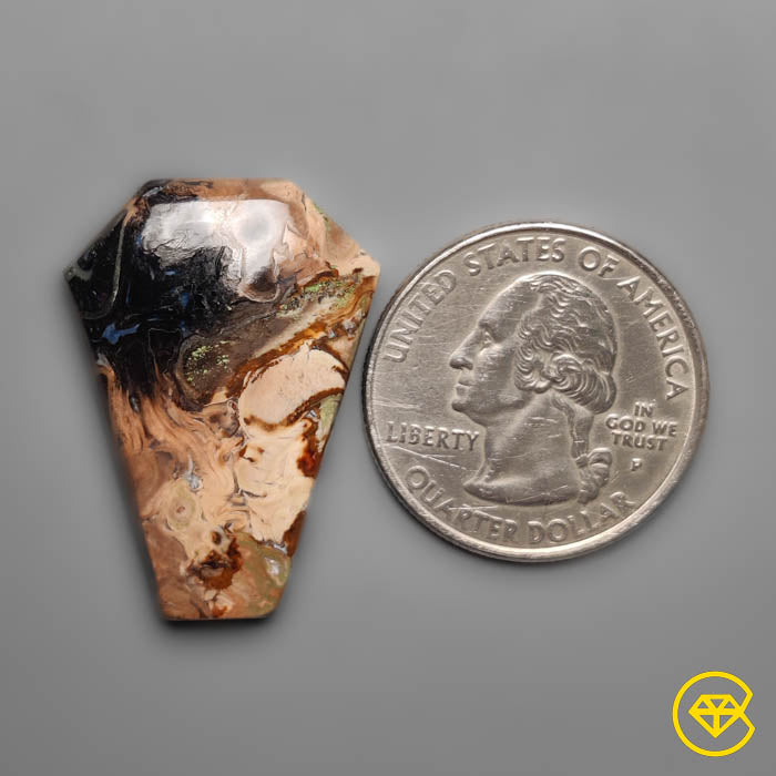 Palmroot Agate