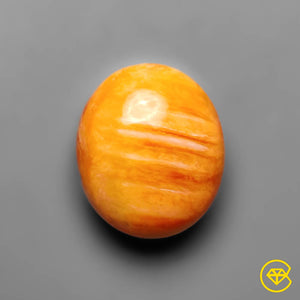 10 Carat Spiny Oyster Shell Cabochon 14X12X6 mm From United States