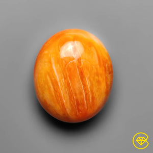 10 Carat Spiny Oyster Shell Cabochon 14X12X6 mm From United States