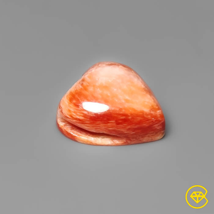 Spiny Oyster Shell