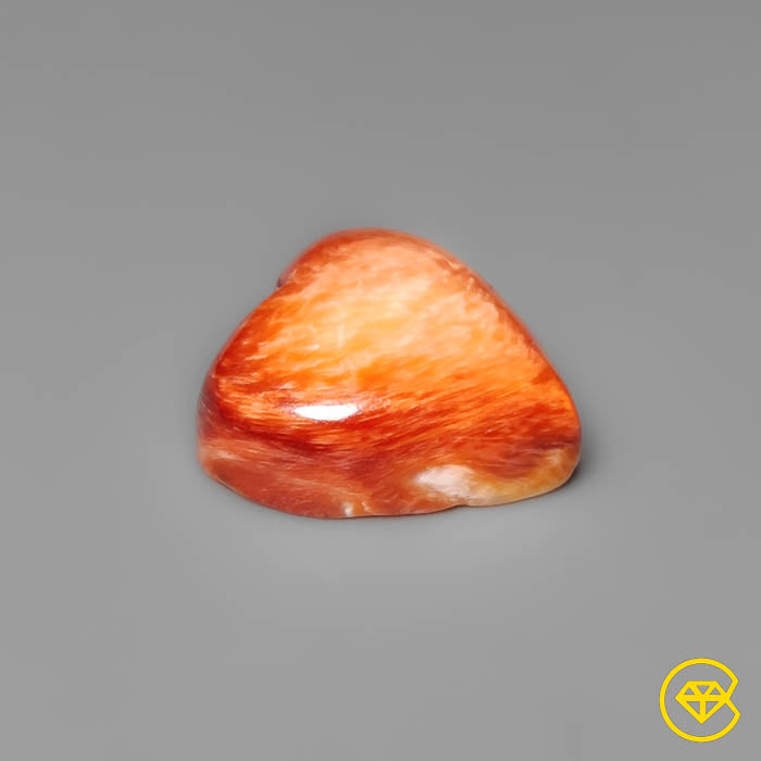 Spiny Oyster Shell