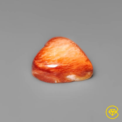 Spiny Oyster Shell