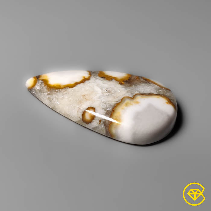 Cobra Jasper