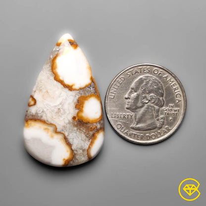 Cobra Jasper