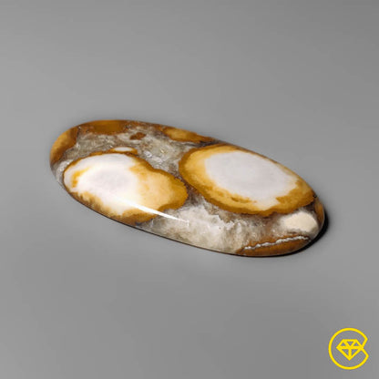 Cobra Jasper