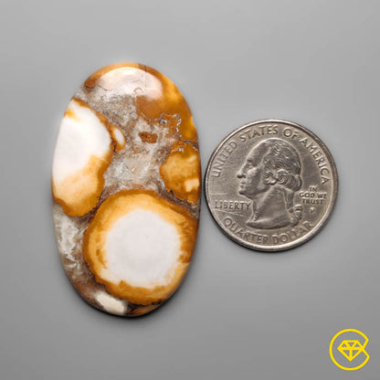 Cobra Jasper