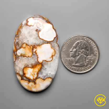Cobra Jasper