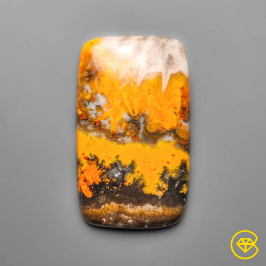 Bumble Bee Jasper